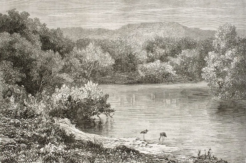 Ilustración en blanco y negro de la orilla de un río con árboles, arbustos y dos aves vadeando en aguas poco profundas; colinas son visibles al fondo, evocando la belleza natural y tranquila cerca del distrito de negocios del oeste de Salt Lake.
