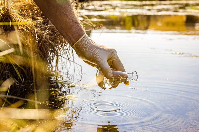 Una mano enguantada recoge una muestra de agua en un matraz de vidrio de un cuerpo de agua natural cerca de vegetación herbácea, destacando los controles ambientales importantes para los proyectos de desarrollo listos en Utah.