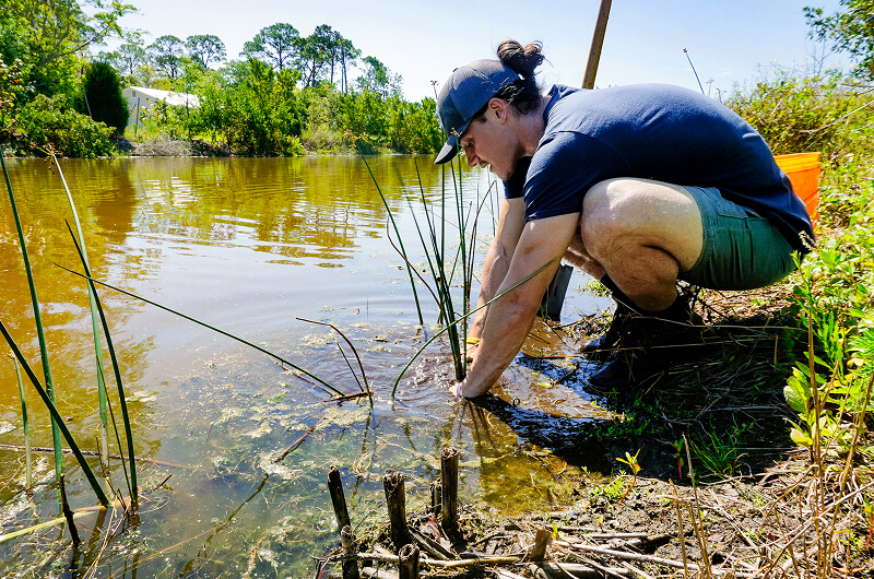 Una persona se agacha al borde del río Jordán del Templo del Norte, metiendo la mano en el agua entre las plantas en un día soleado.